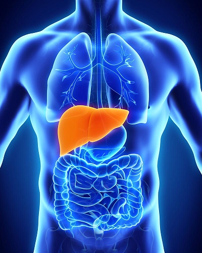 Best Hepatologist In Navi Mumbai